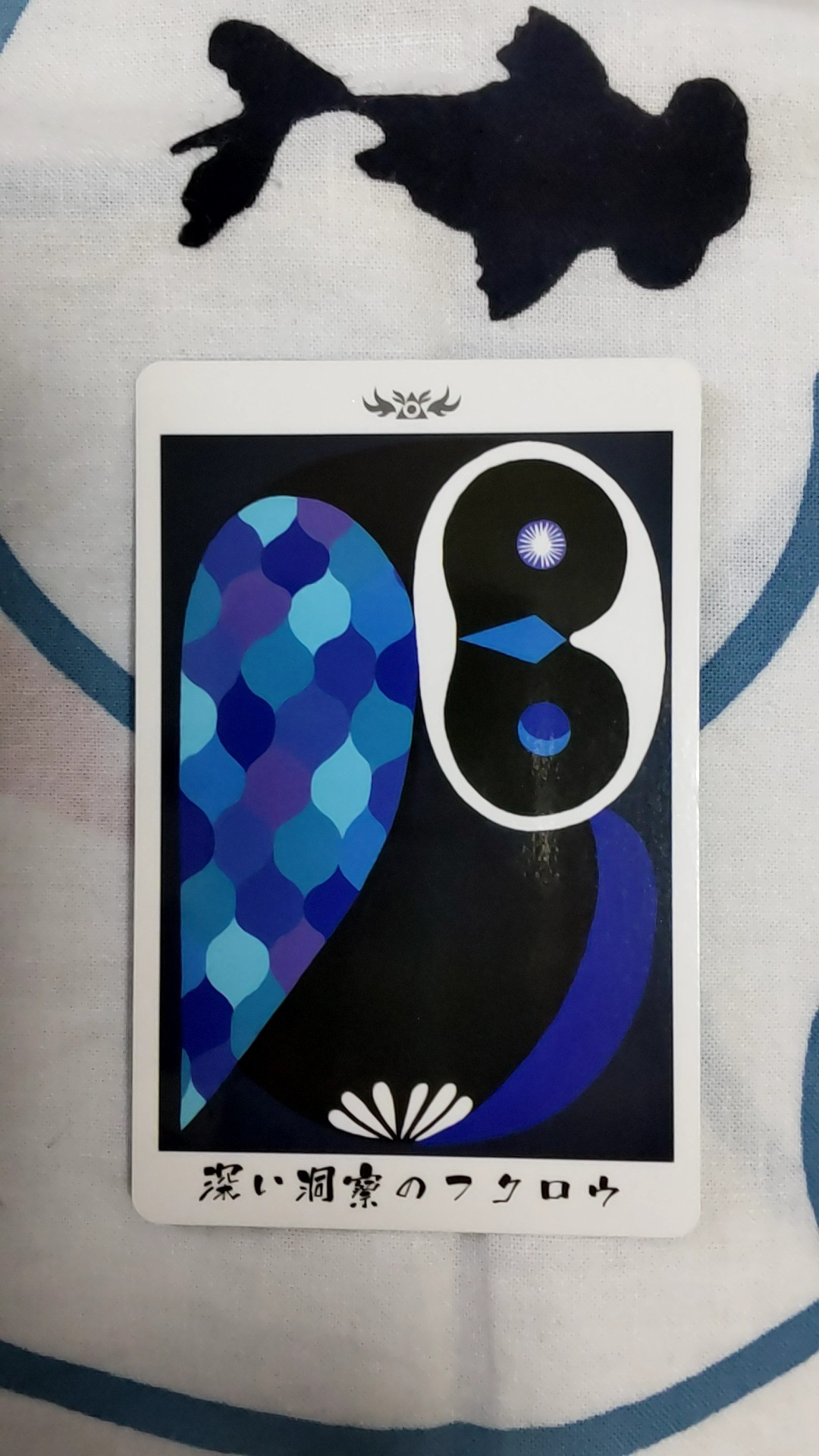 010903.jpg