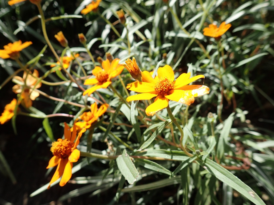PA100068.JPG
