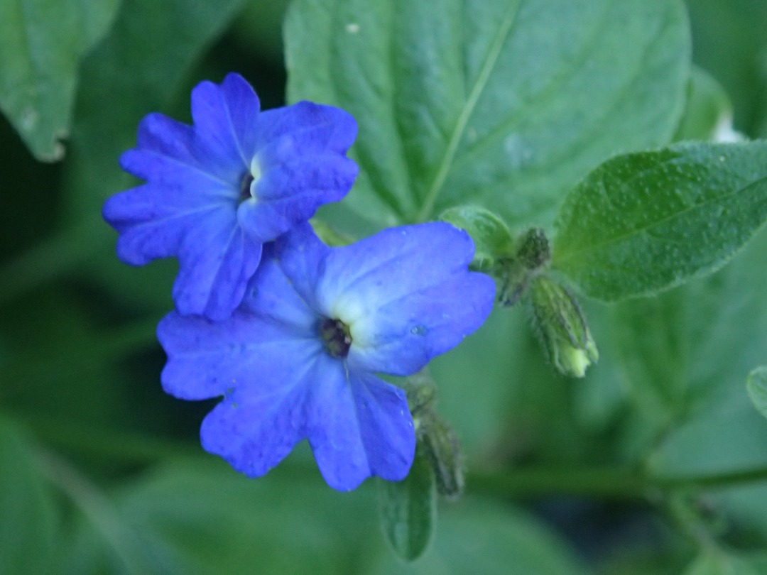 PA101418.JPG