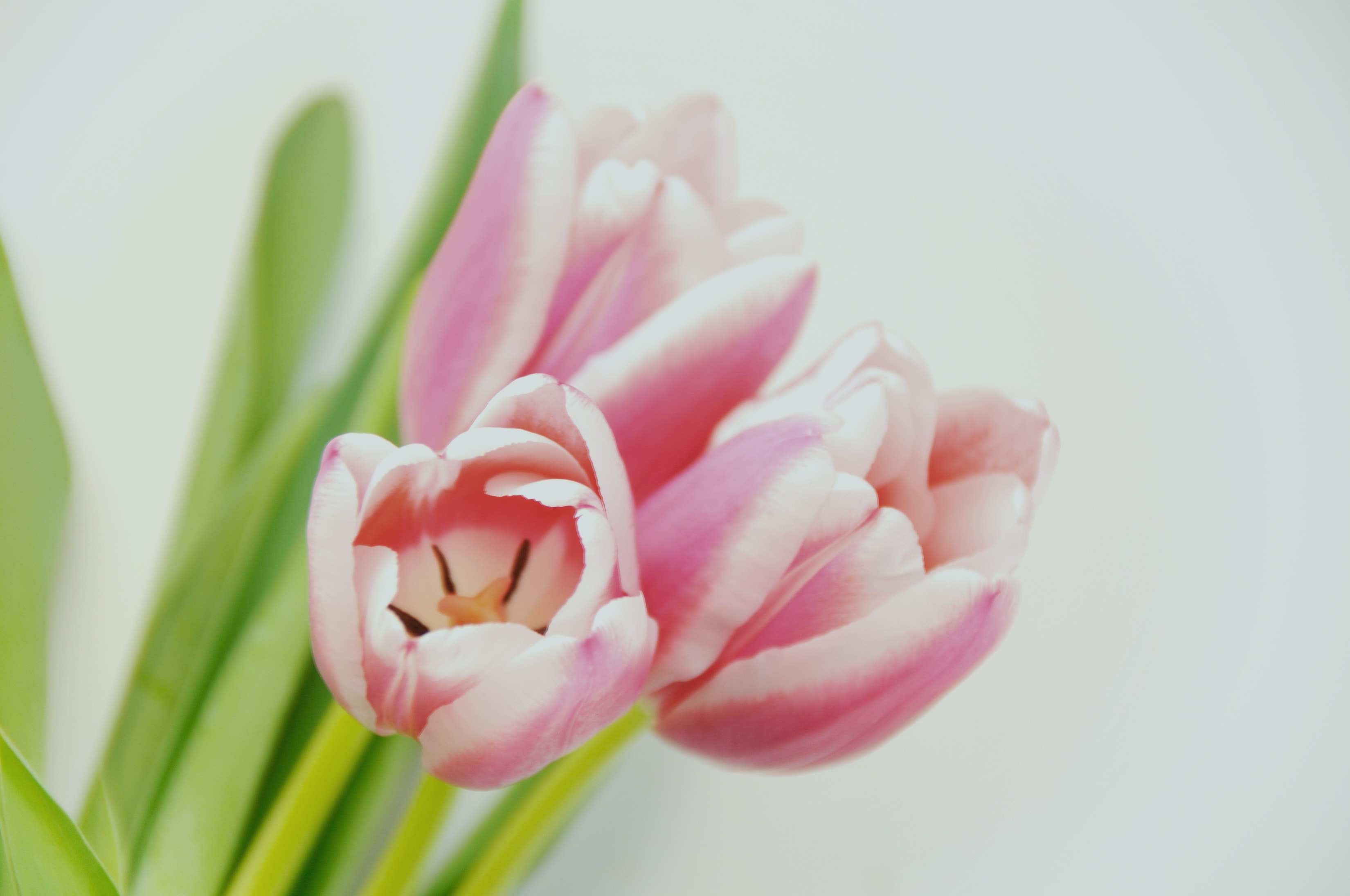 jay-simmons-HDP54awqaQA-unsplash (1).jpg