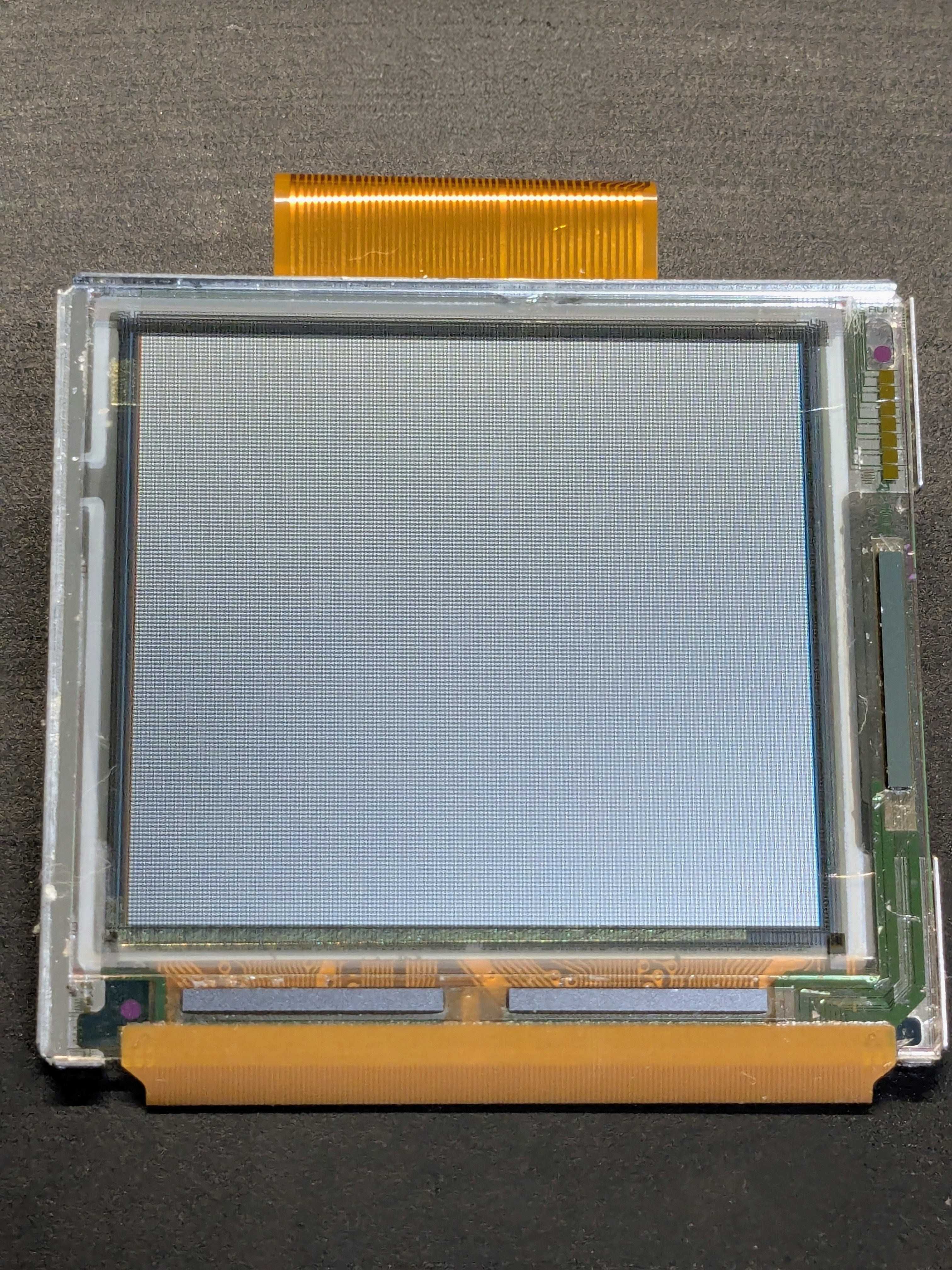 PXL_20260823_133403539~2.jpg