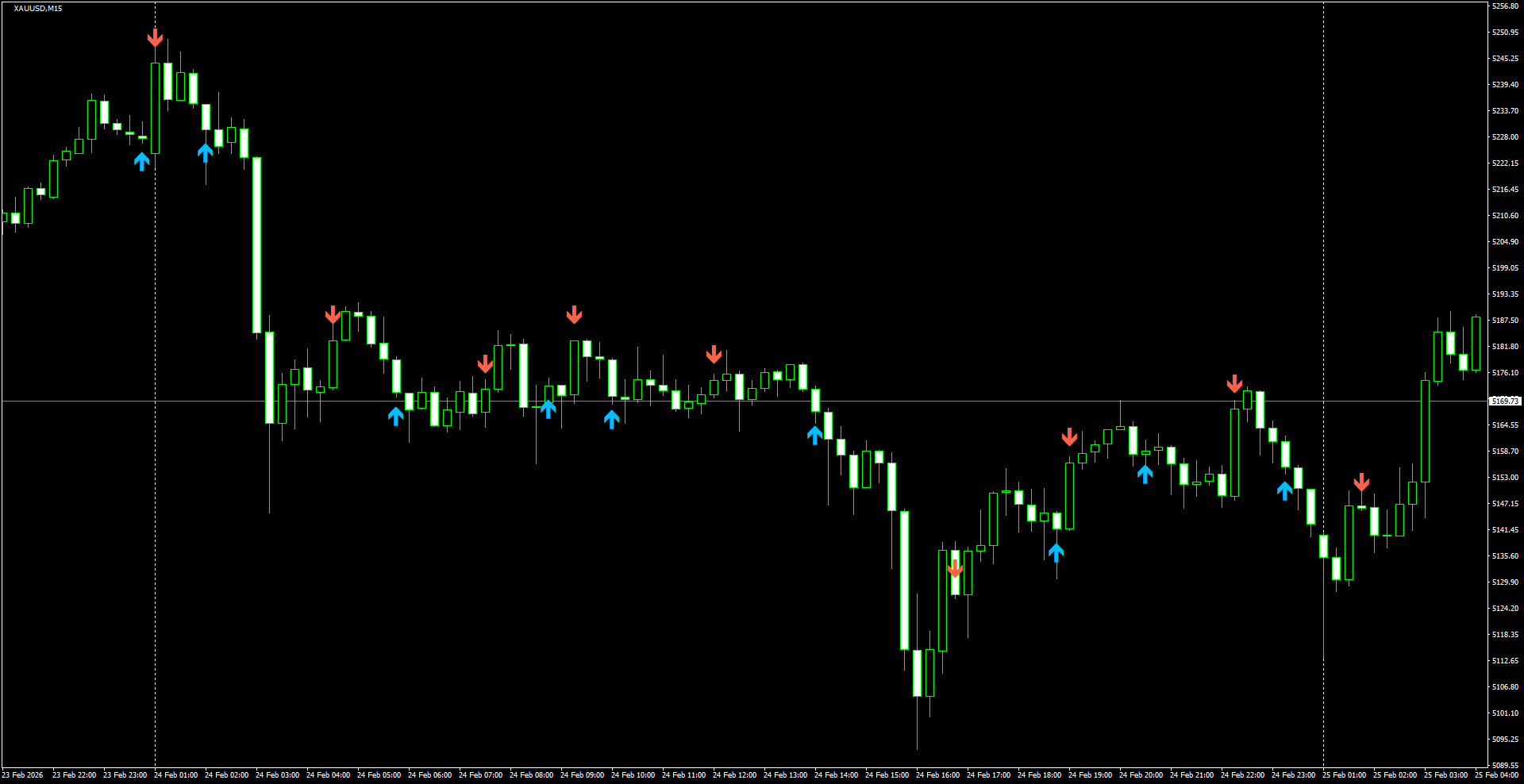 XAUUSD(M15)_2026.02.25_200841.png