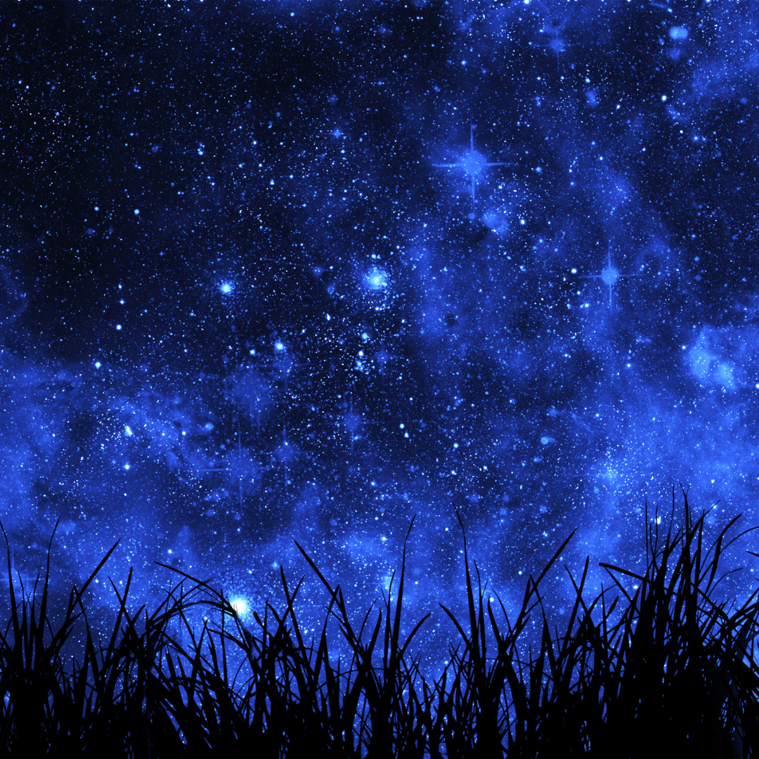 名称未設定のデザイン (70).png