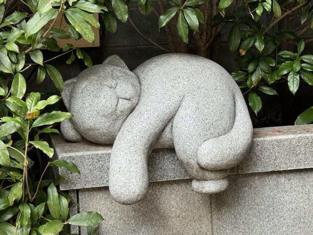 猫.jpg