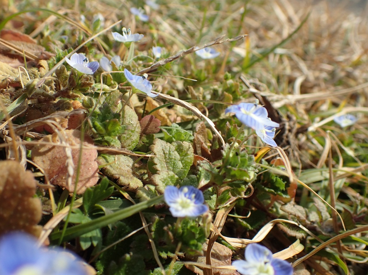 P2120330.JPG