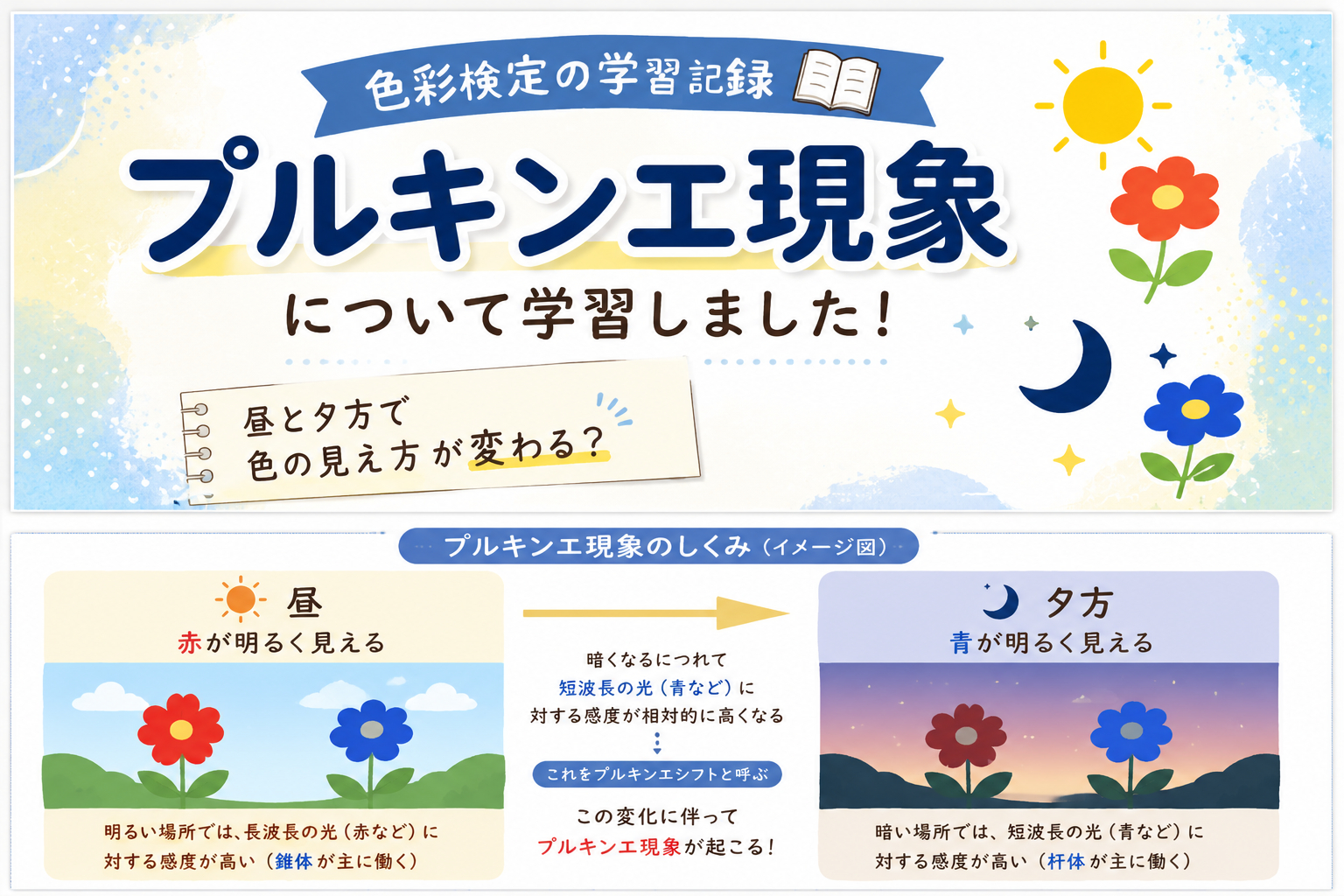 ChatGPT Image 2026年6月5日 20_03_42.png