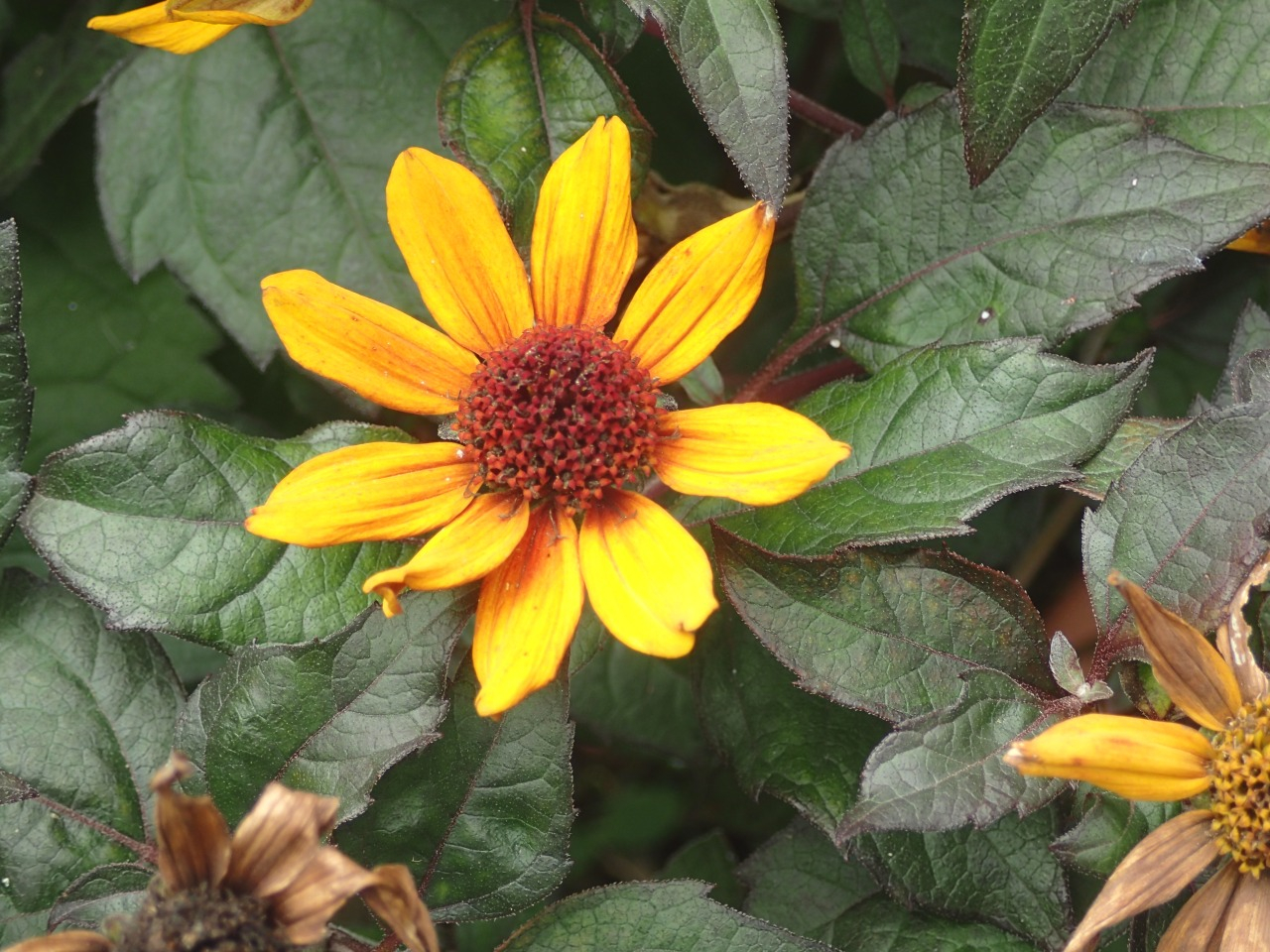 PA120304.JPG