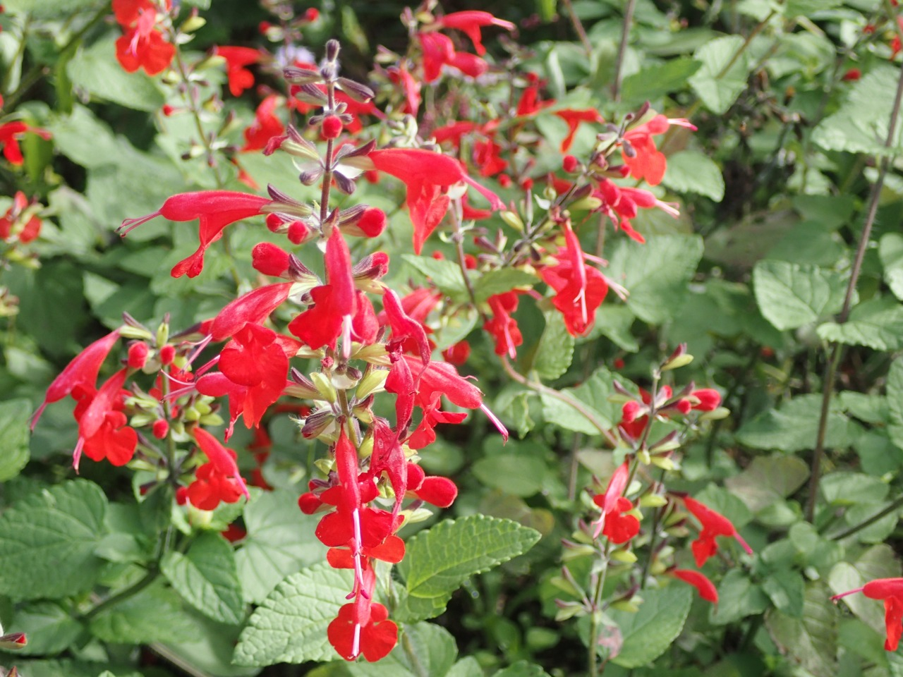 PB010070.JPG