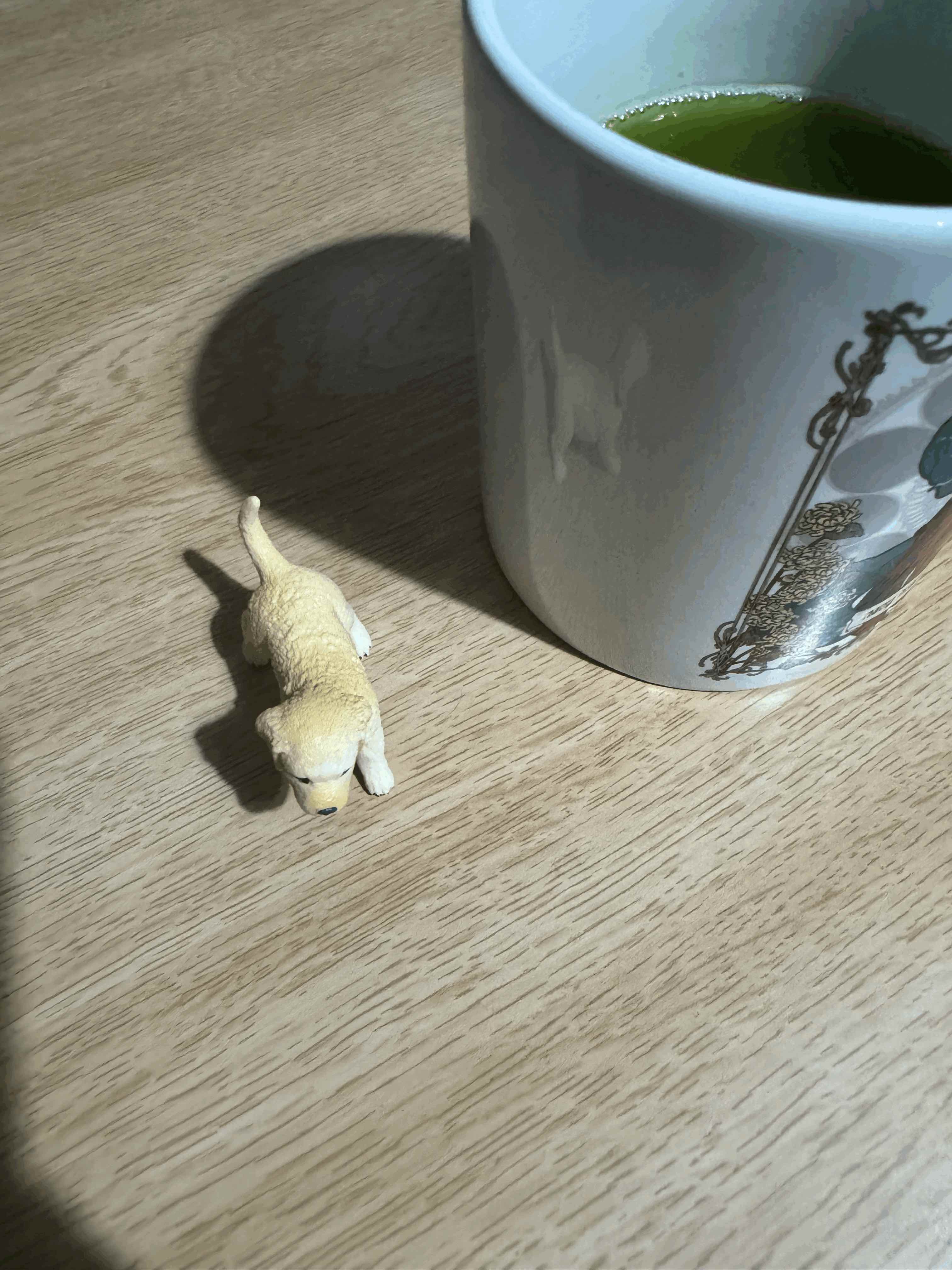 tempImageZLSV4T.gif