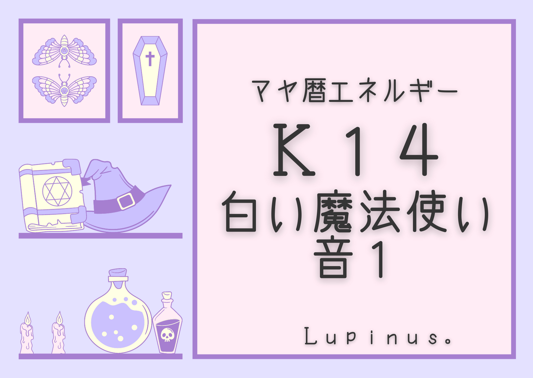 LUPINUS. (60).png