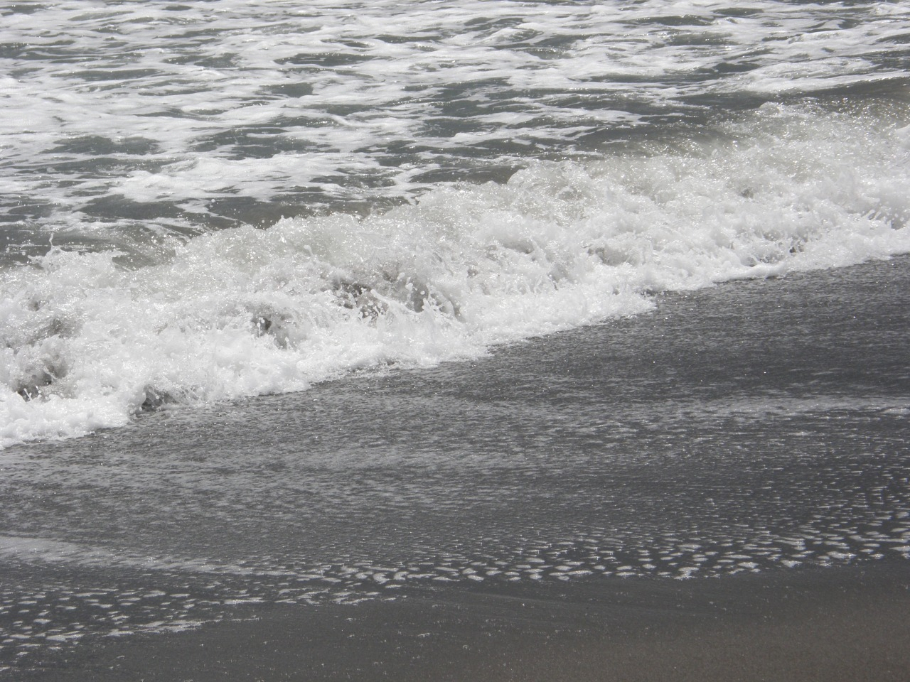 P4150089.JPG