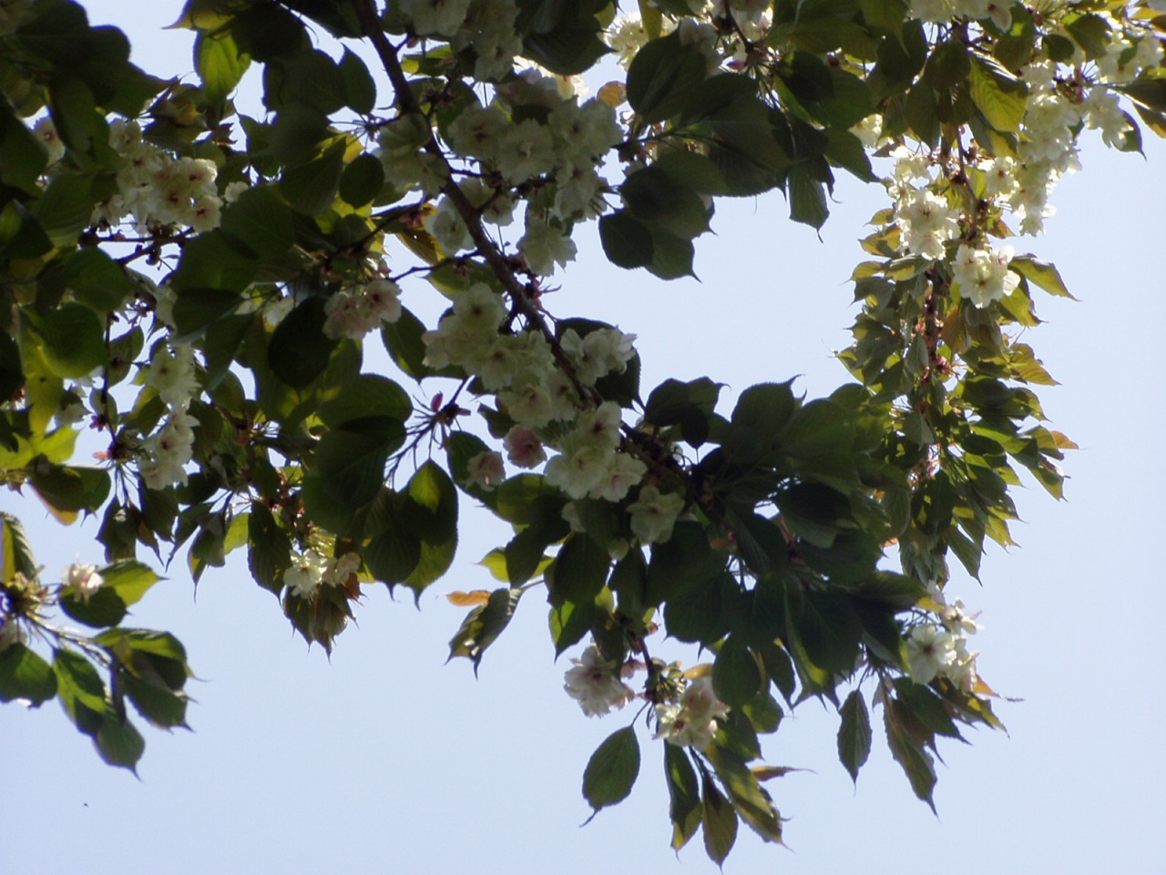 P1010020.JPG