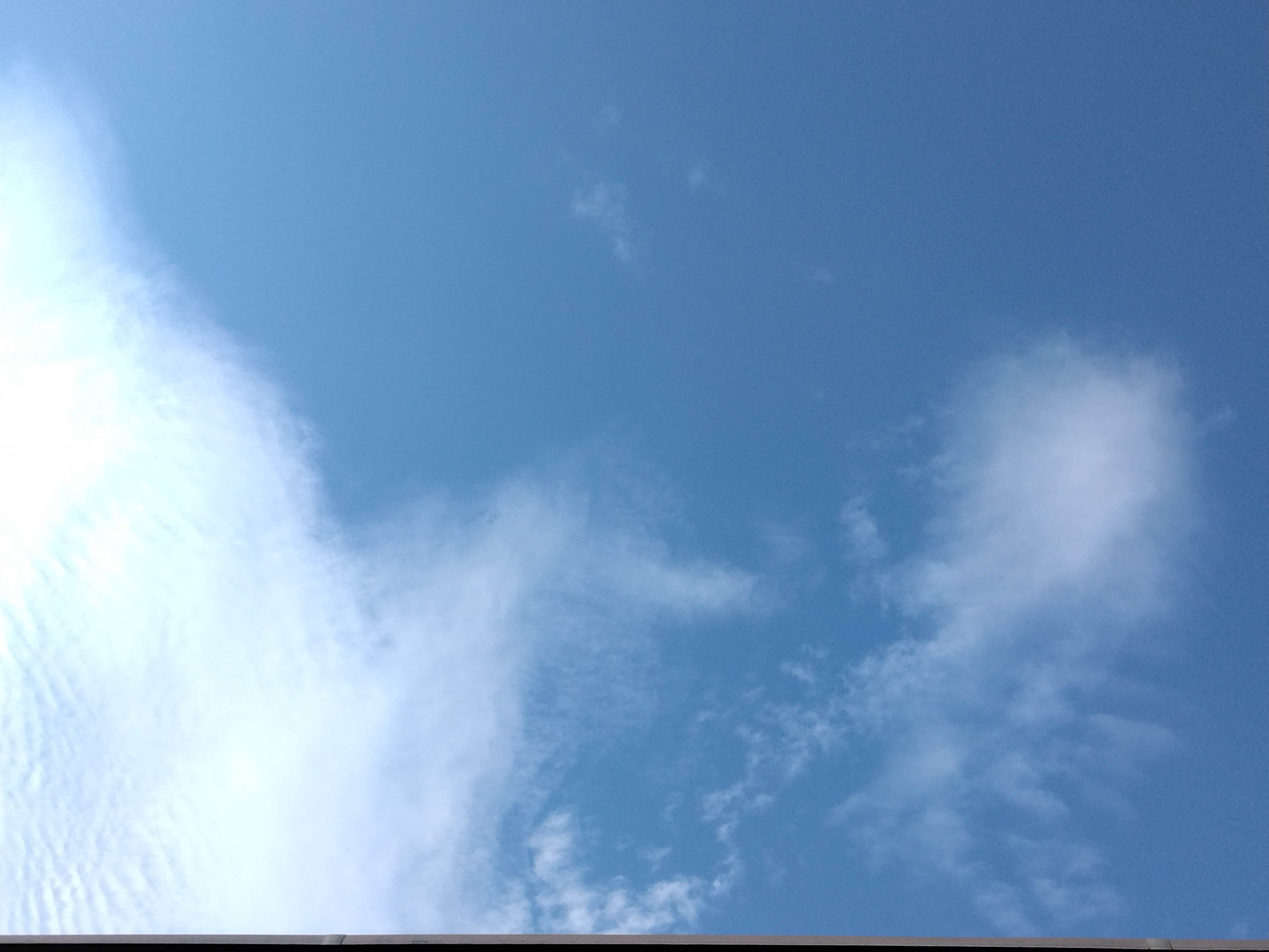 IMG_20260730_071203.jpg
