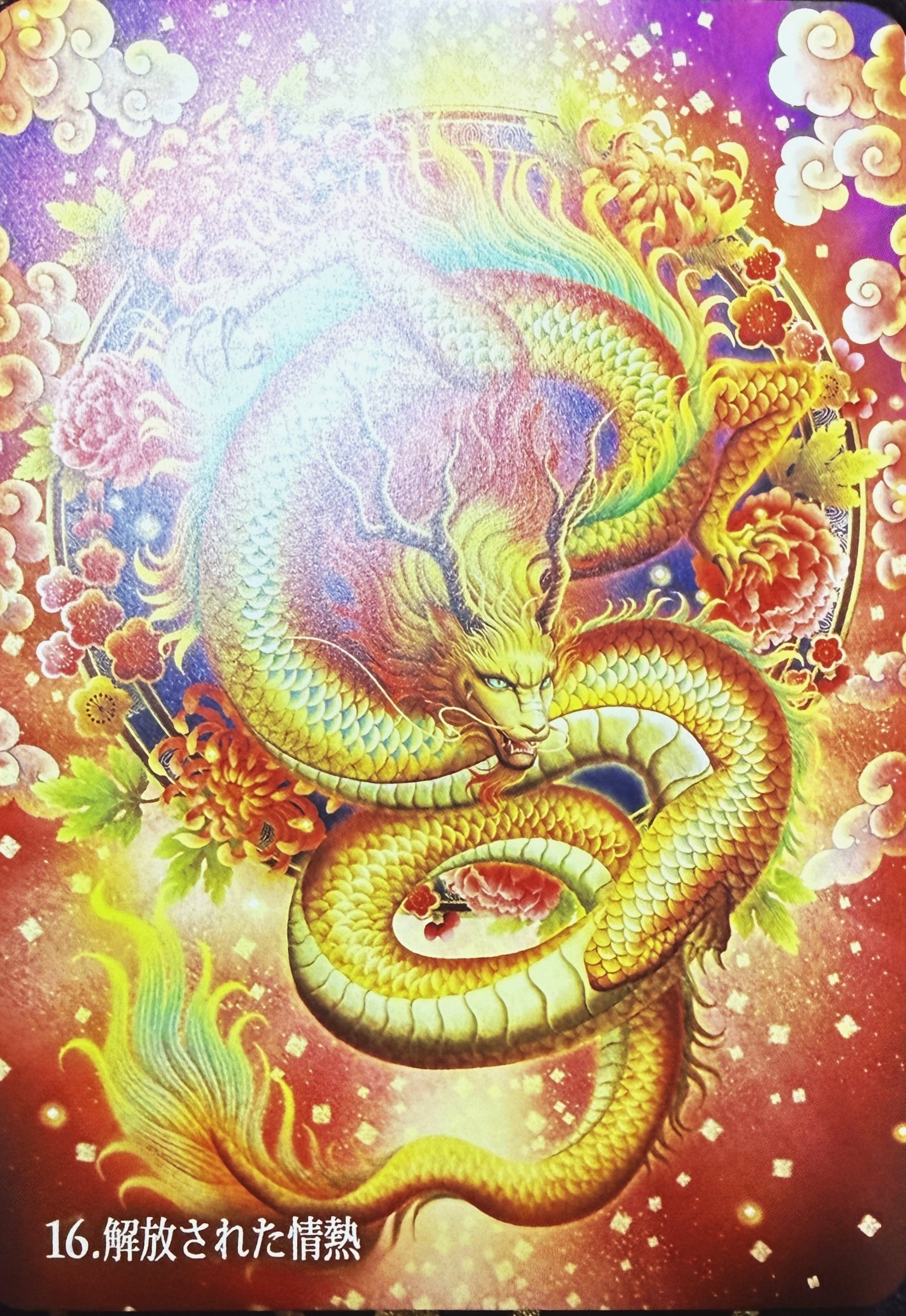 光の龍神0430.jpg