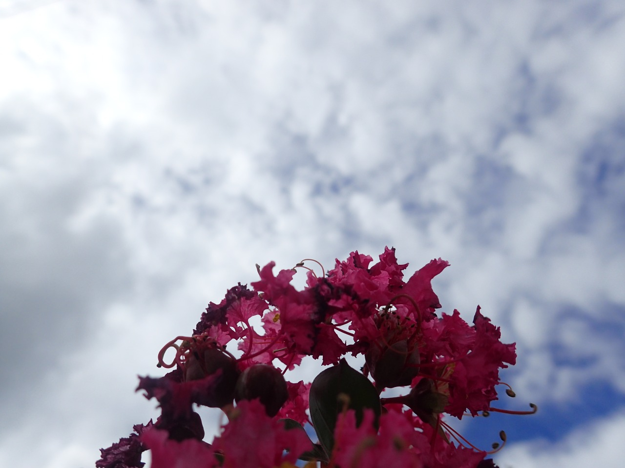 PA050229.JPG