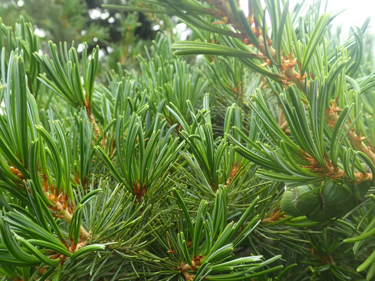 P6100563.JPG