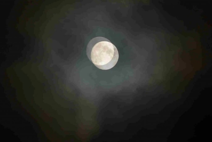 IMG_9115.jpeg