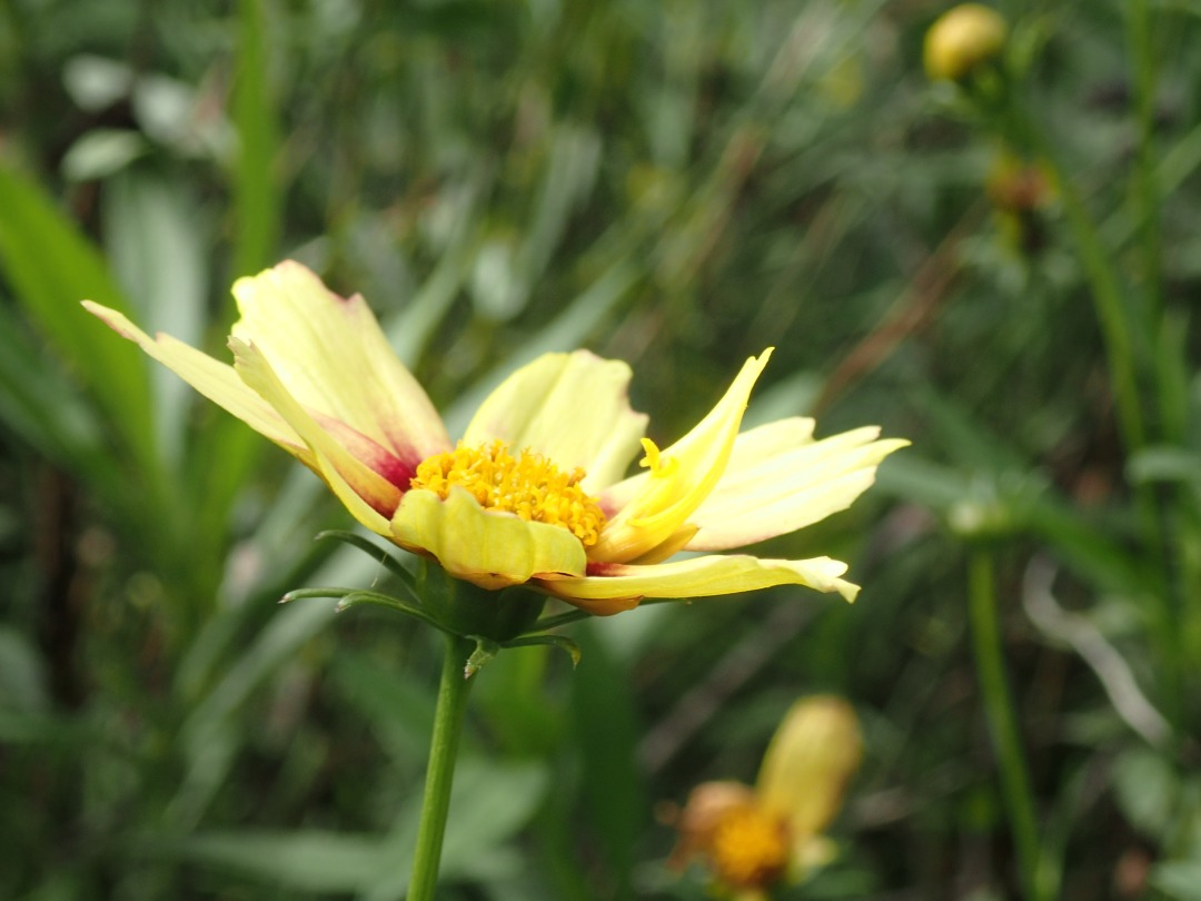 PA120509.JPG
