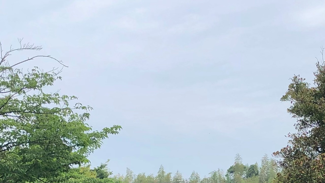 202506070746a.jpeg