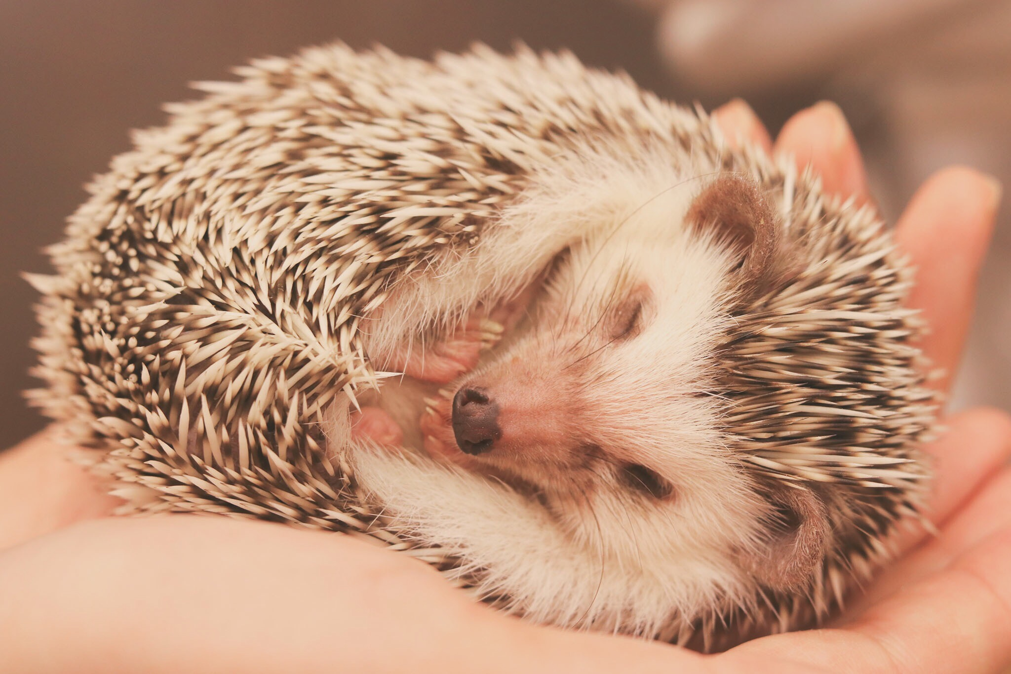 開運 、タロット、占い、霊感、スピリチュアルカウンセリング、口コミ、当たる占い師、尾本広美  (248).jpg