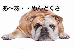 画像⑤.jpg