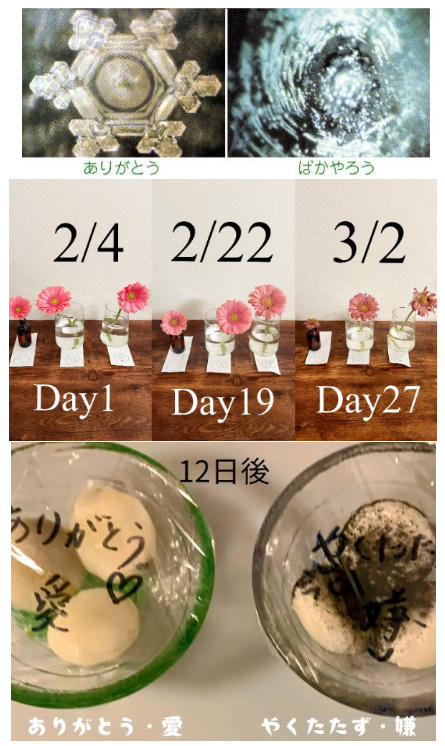 bandicam 2025-12-13 03-24-15-433.jpg