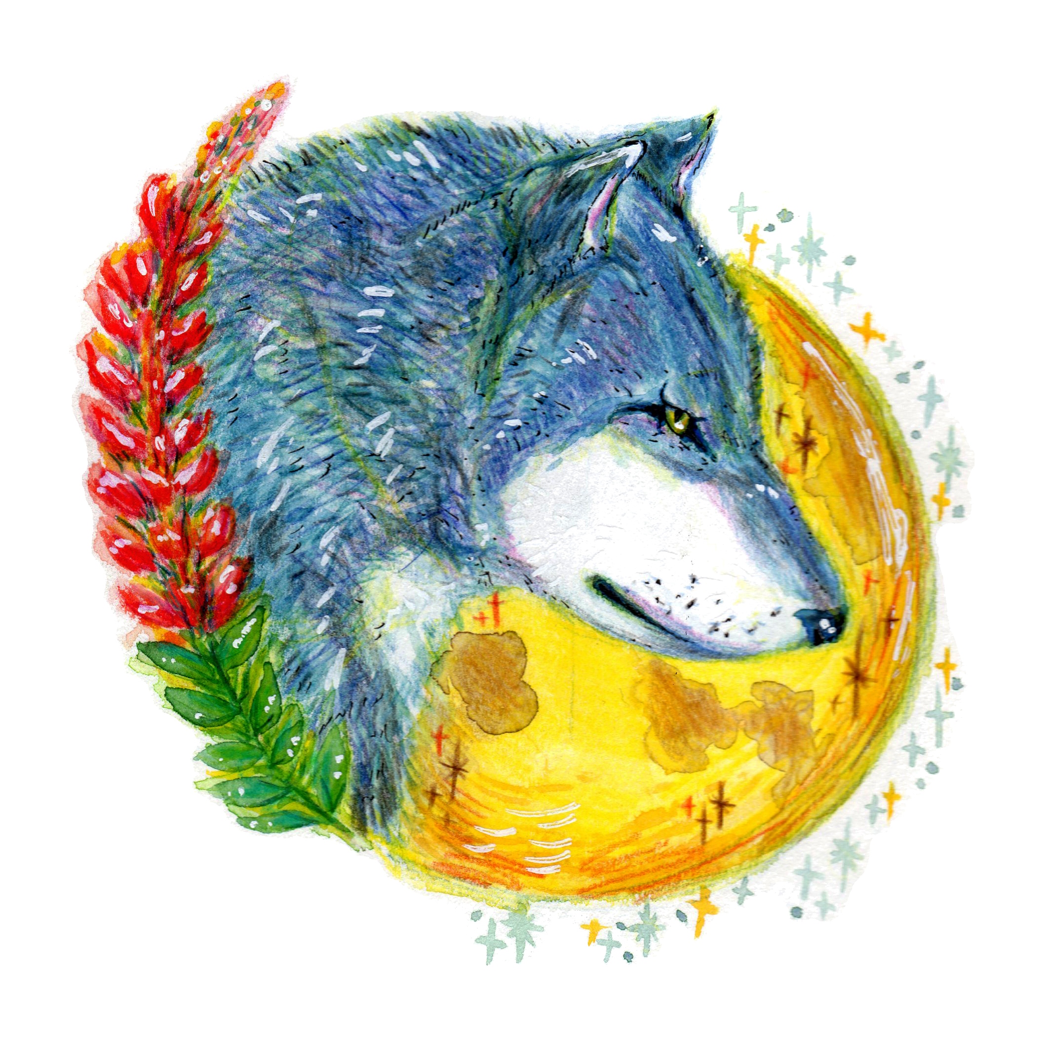 狼 色鉛筆画 淡雪の狼 色鉛筆画 パステル 色鉛筆画(キャラクター、動物