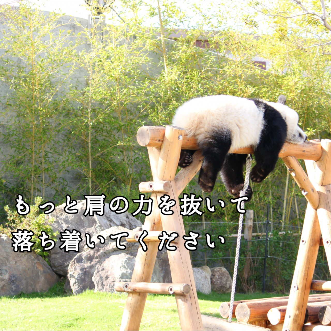 90CA9E51-605A-4944-BEA9-D0459A48D2F4.jpeg