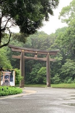 image6 (3).jpeg