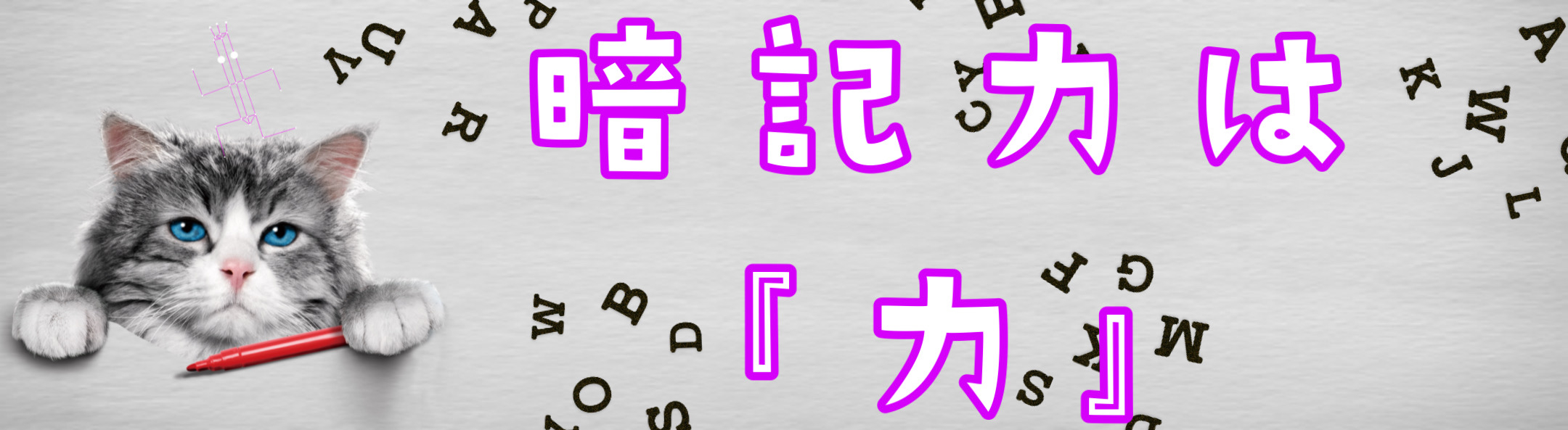 B0F7077E-2E78-4279-ACCA-F4FB38E81D20.JPEG