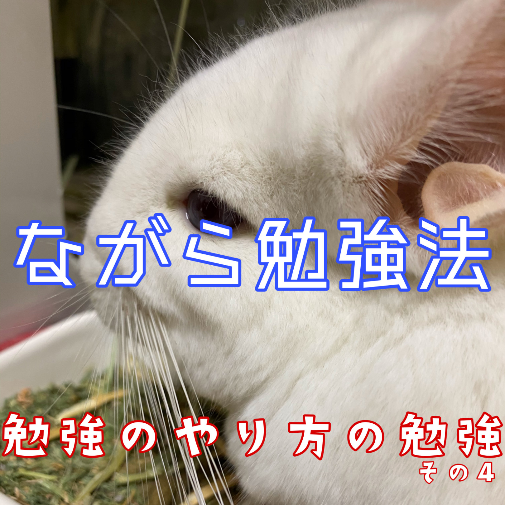 35D1C7B6-8ED9-4DFD-8D73-F25F70D86B4C.JPEG