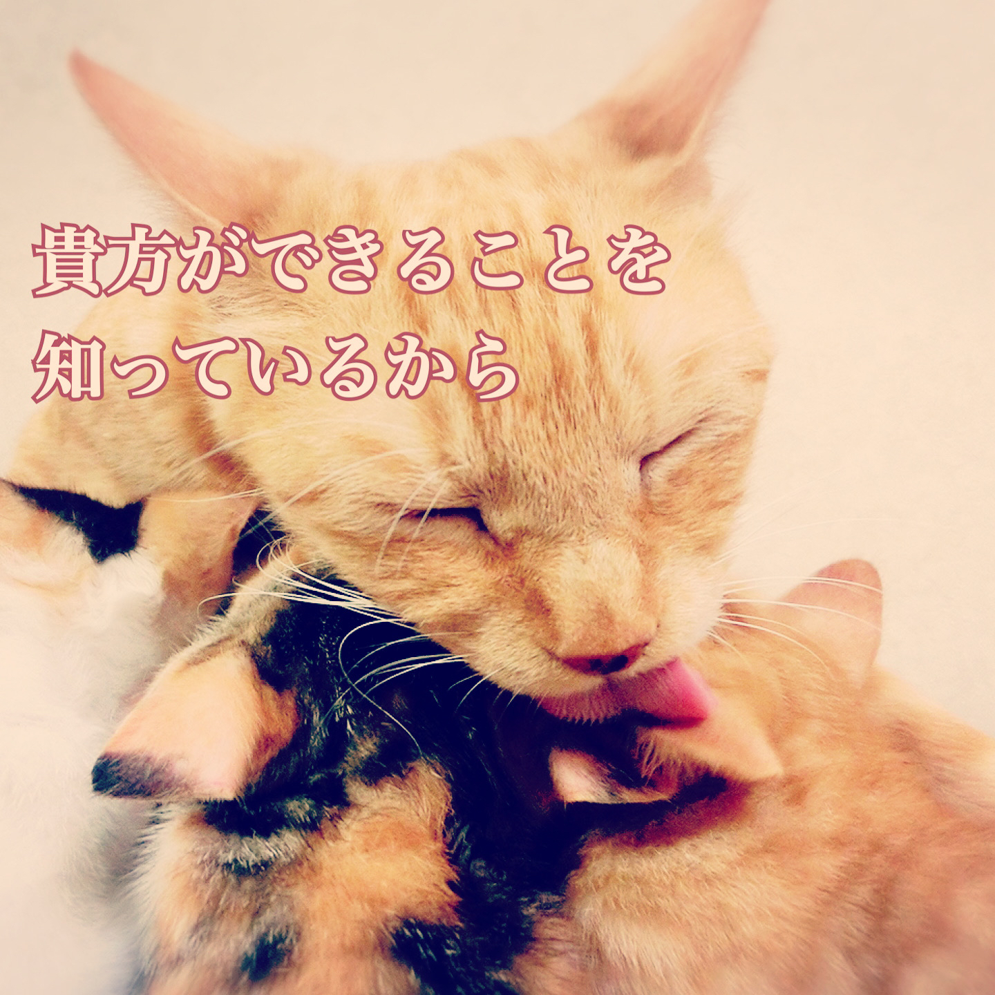 2EFB1DAD-4F3B-46FC-94AC-FBEDD89A76BB.jpeg