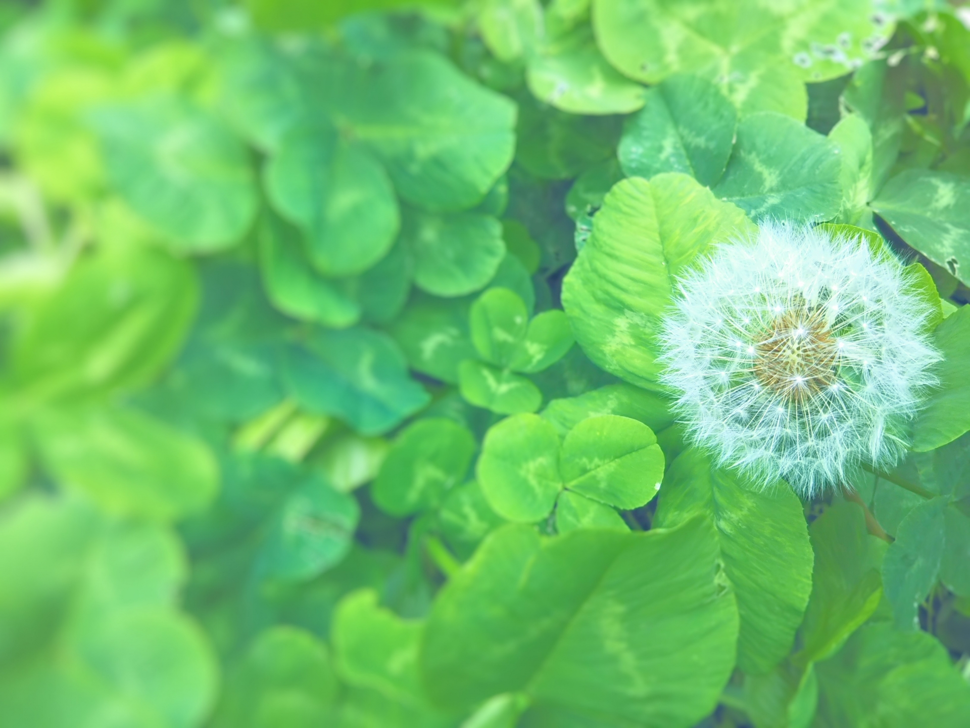 1FD5BC78-139C-4A5A-B0FC-9B111B65F6AA.jpeg