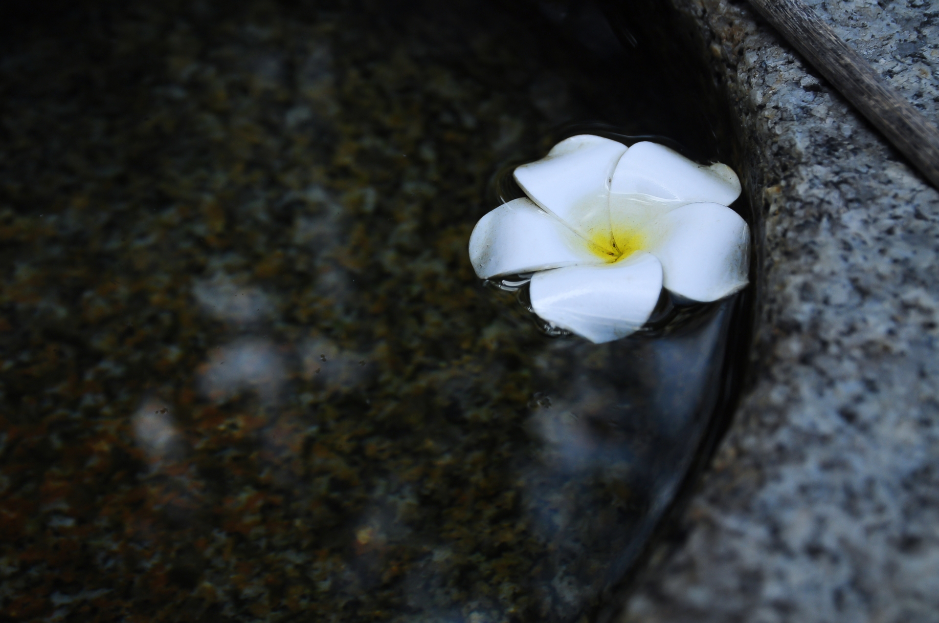 A3C8C425-6CA5-42E9-B8CD-125308831C29.jpeg