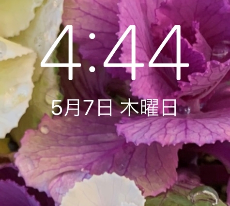 444満月.jpeg