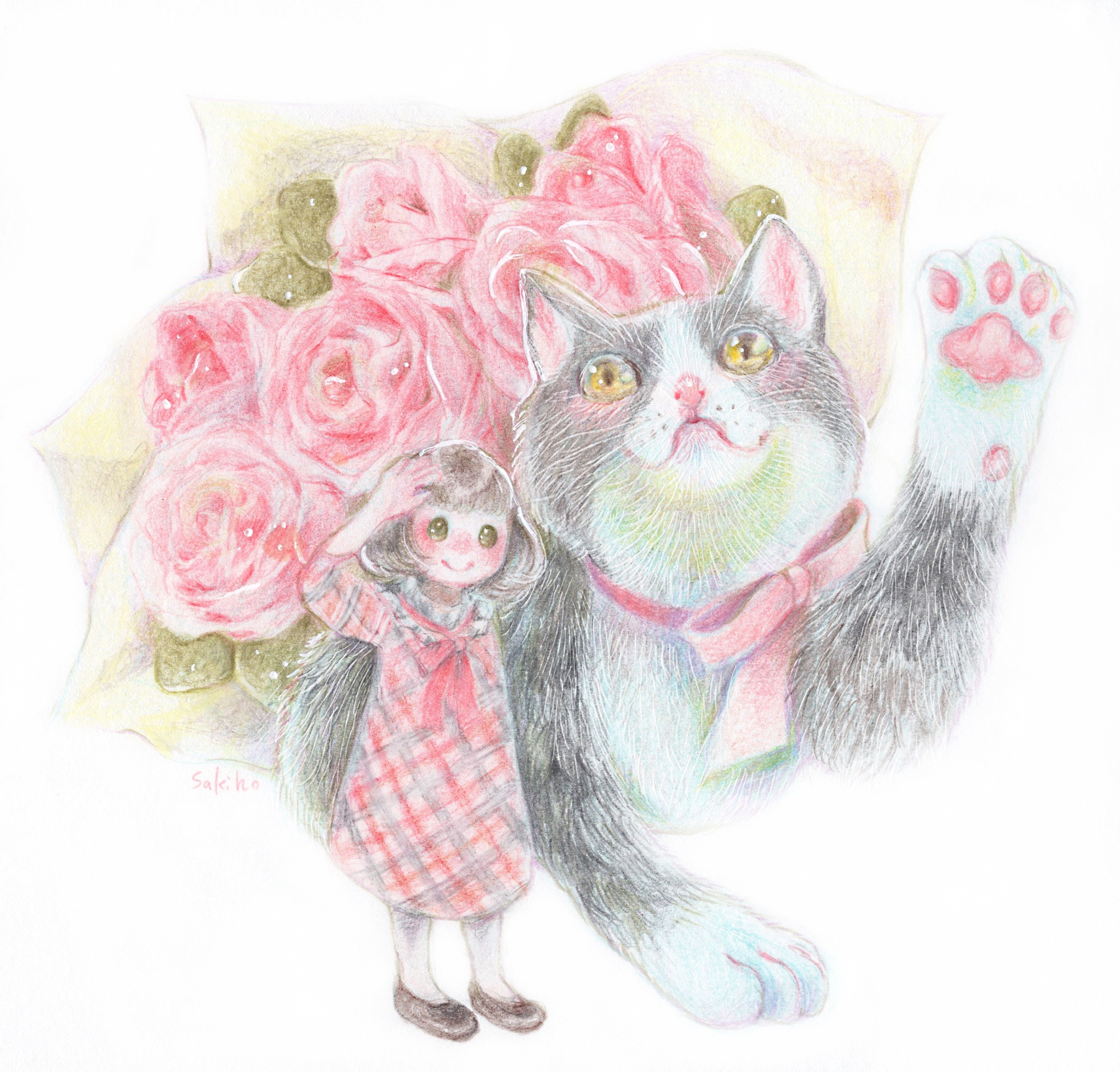 猫のイラスト ハチワレ編｜さきほ❀色鉛筆画家｜coconalaブログ