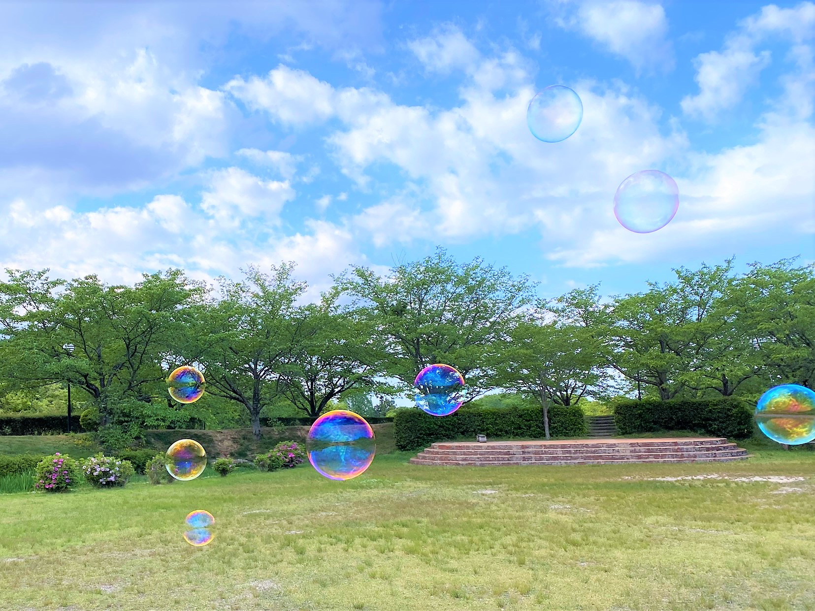 E2E8A547-729A-4112-9781-300E1EB89DC4.jpeg