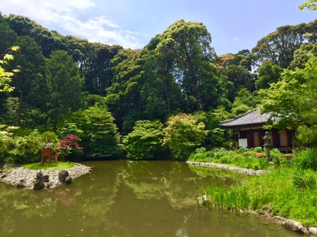 浄瑠璃寺池.jpg