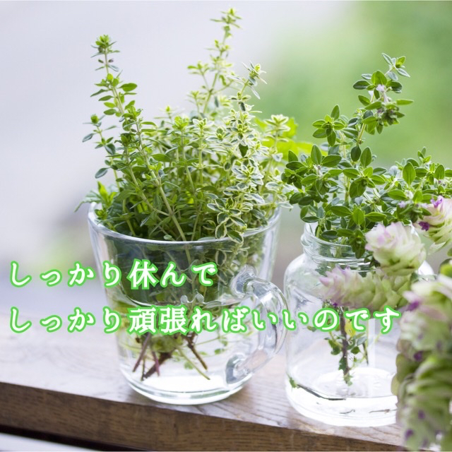 93E83BAF-F215-445E-9955-B2C1A9AD6094.jpeg