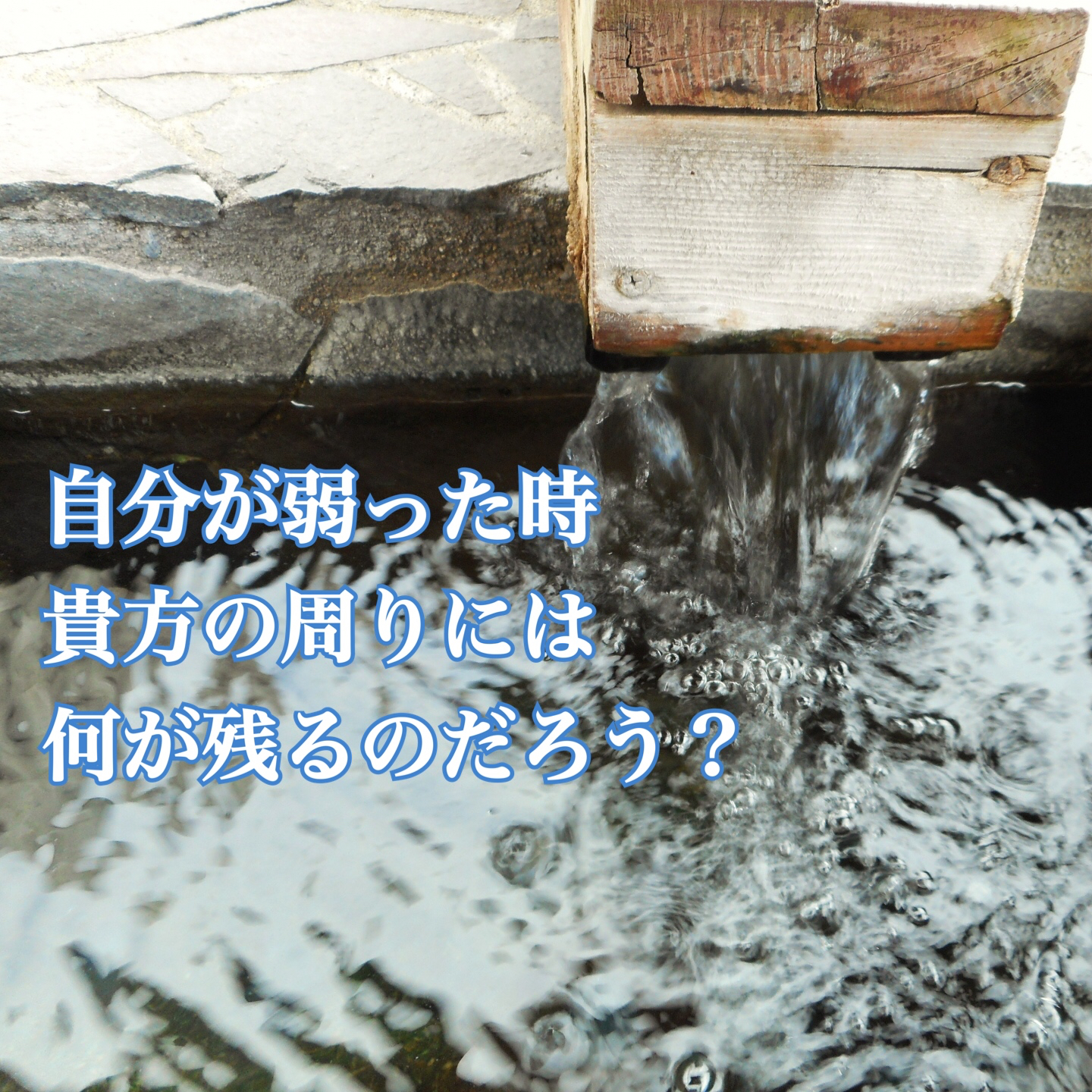 FF89FF7E-5164-4D3D-87DD-B53B94F63B46.jpeg