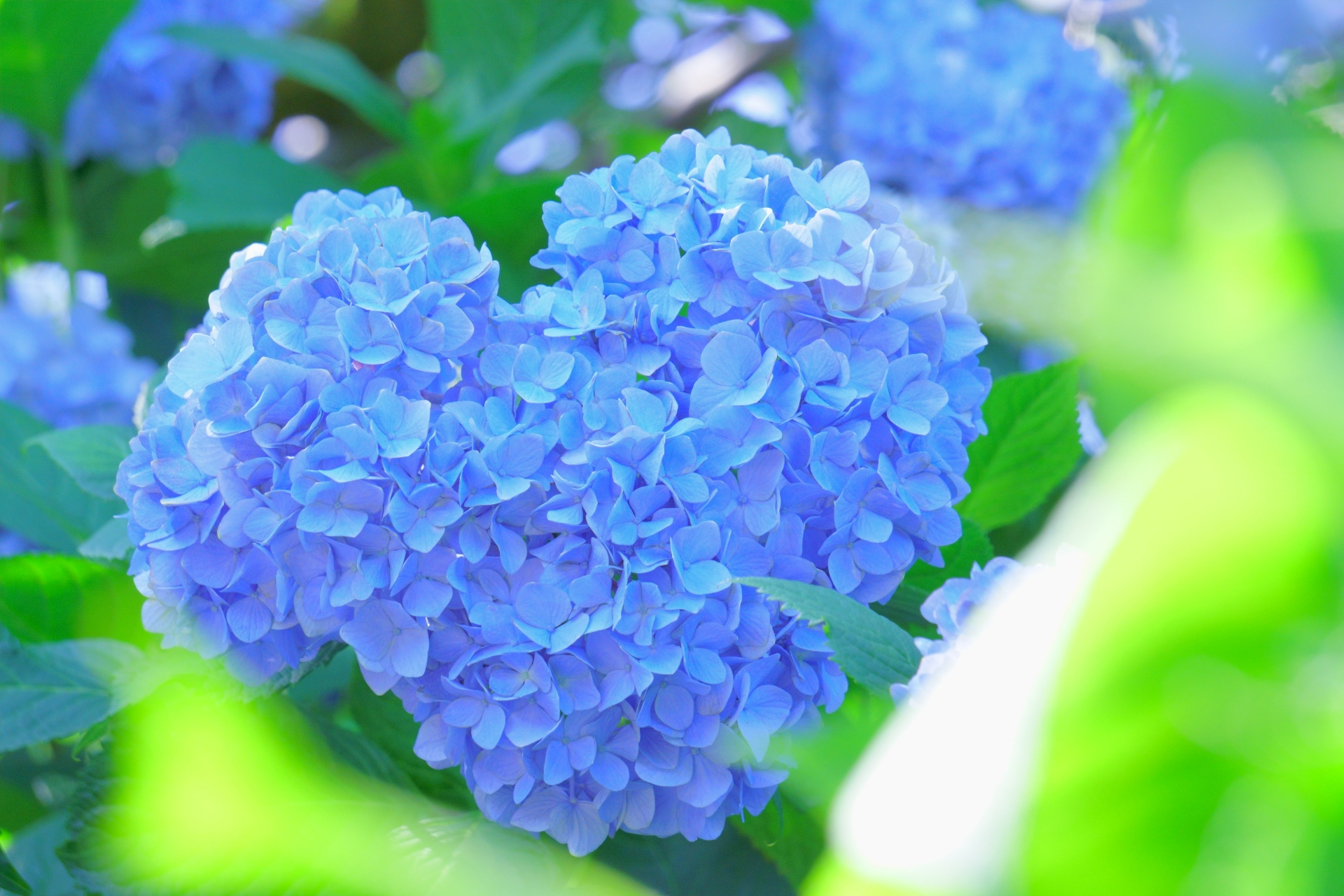 2D537AF2-E06F-4E1D-885F-EE6199AE66F2.jpeg