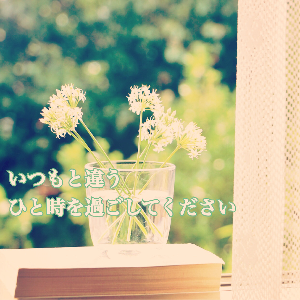 82453856-18C7-443C-BF9B-A9A937ADDB5B.jpeg