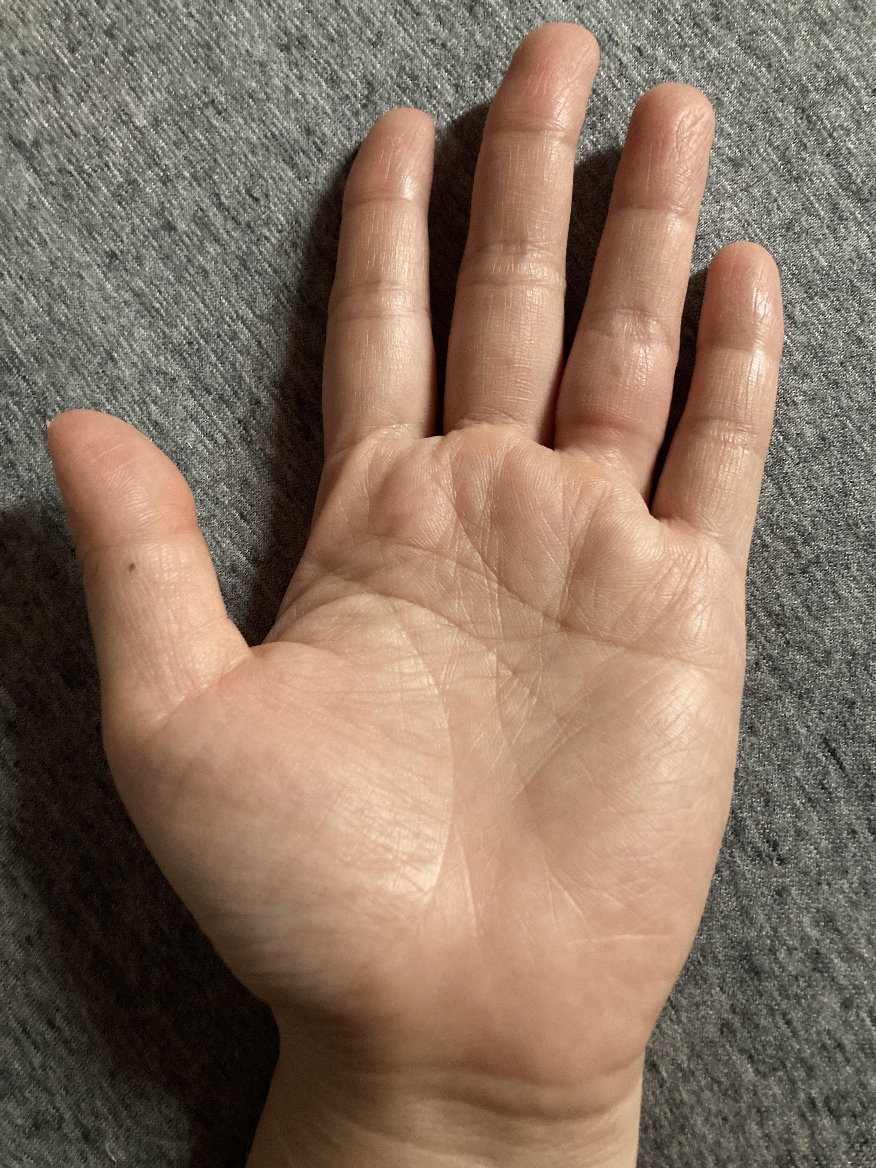 人間の手の形状 000000000499_wktXHZ8.jpg