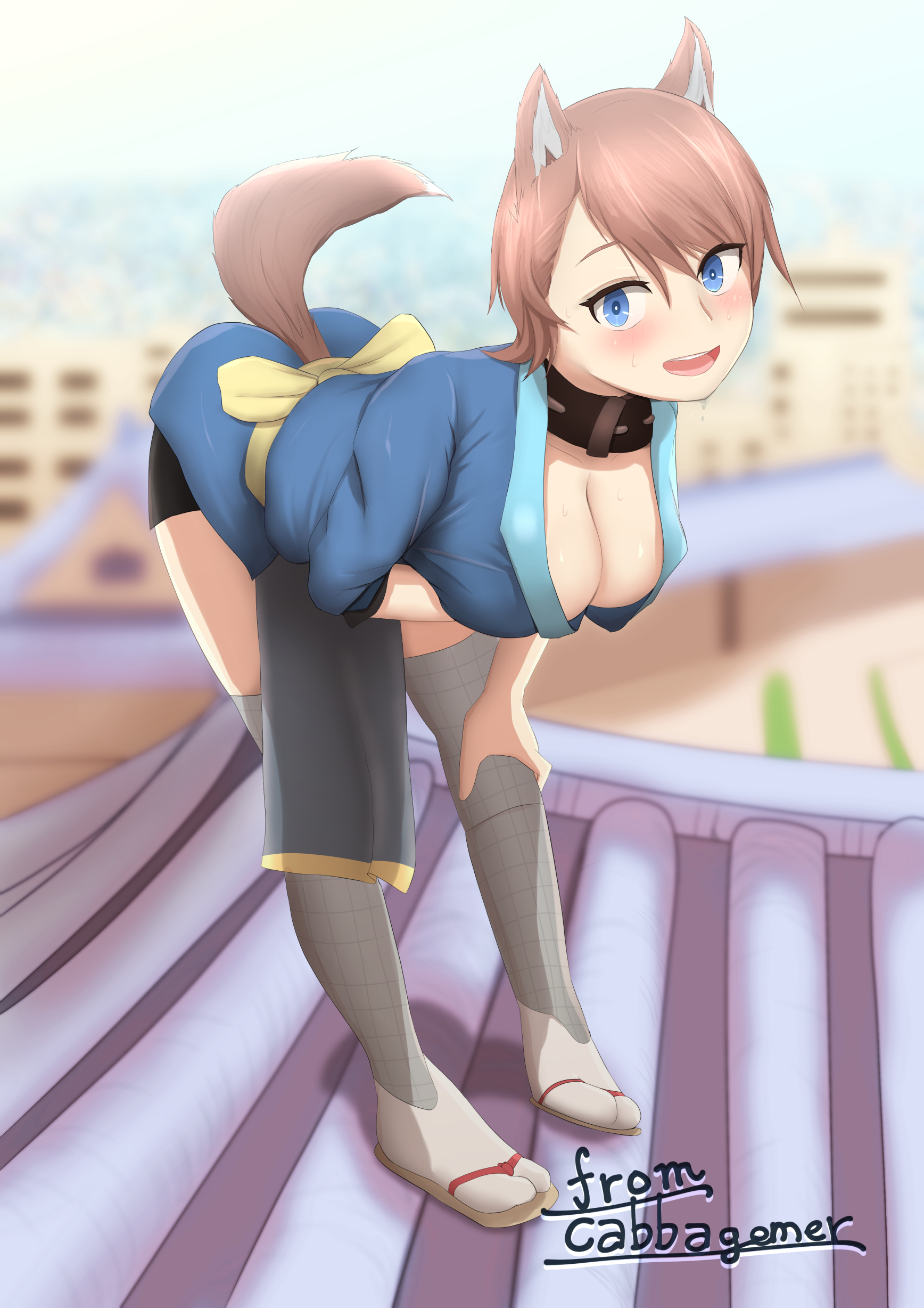 わんわんお索引付き.jpg