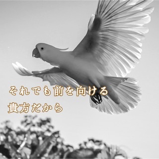 7033F73C-B347-4F58-BB8D-2BA4774B0A3B.jpeg