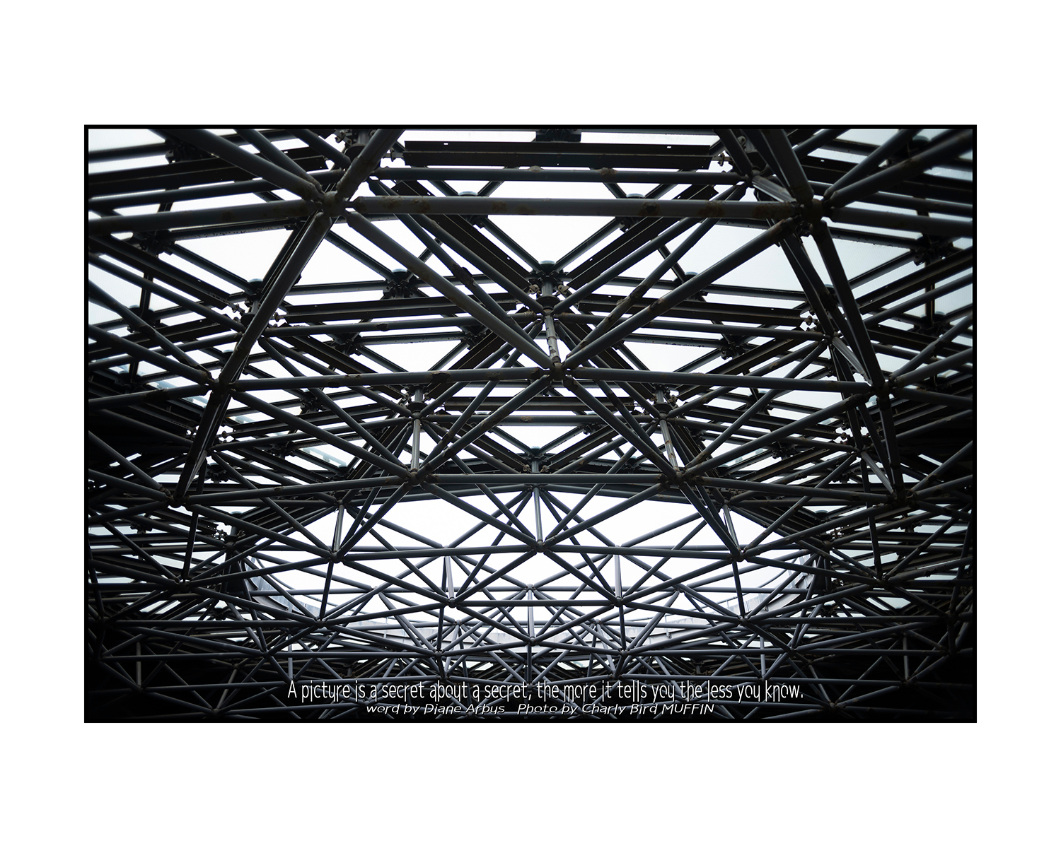 0729-021.jpg