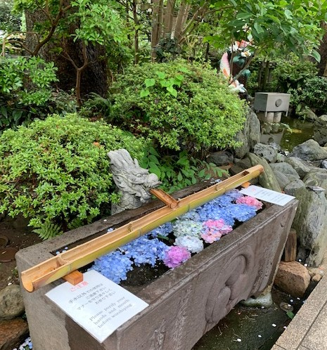 image1 - コピー (9).jpeg