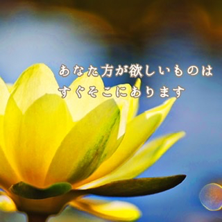 7CD2B8E0-71FD-447A-9C83-B728B590AD56.jpeg