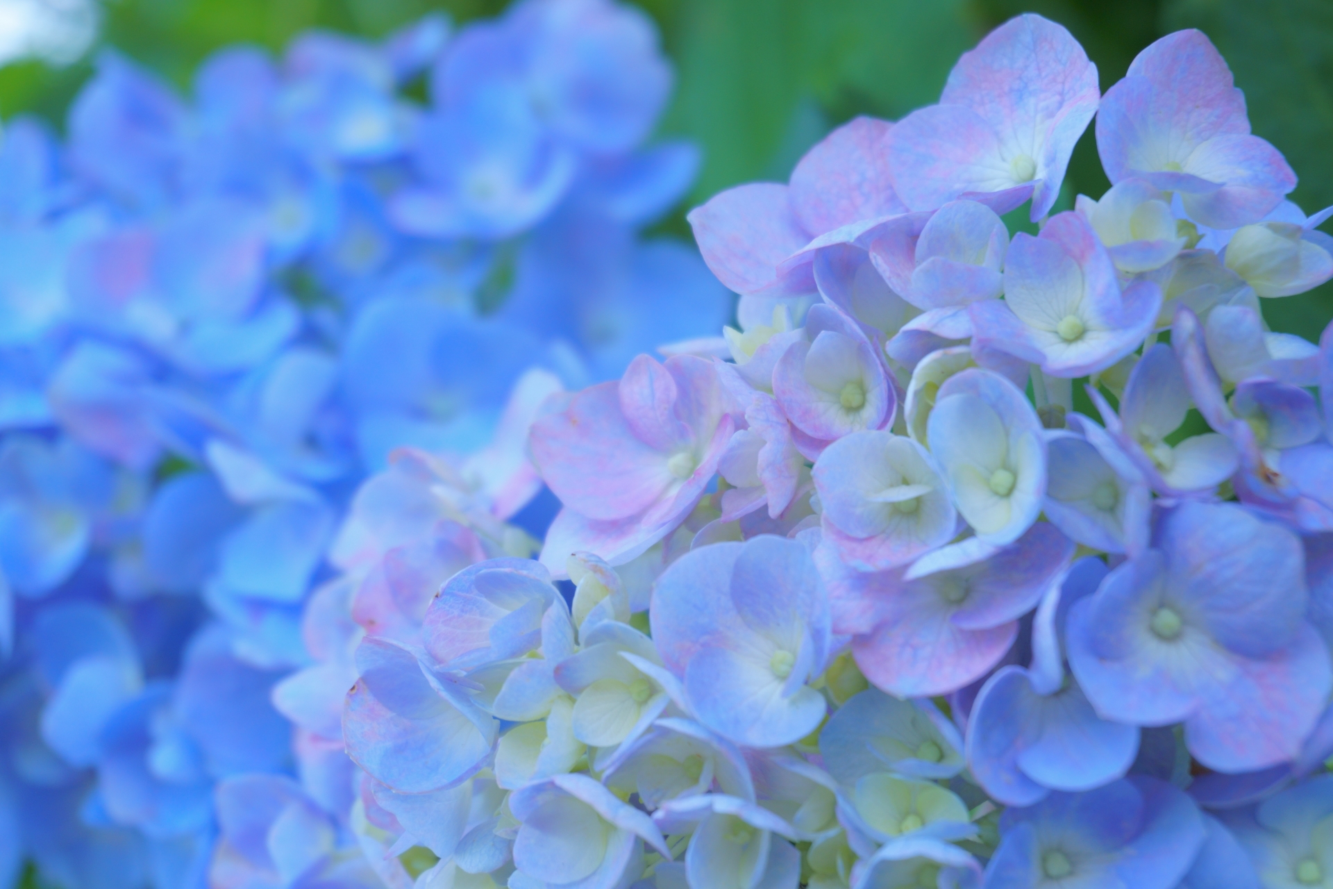 0A46BB73-C197-436D-BB14-B4E71ED7CC97.jpeg