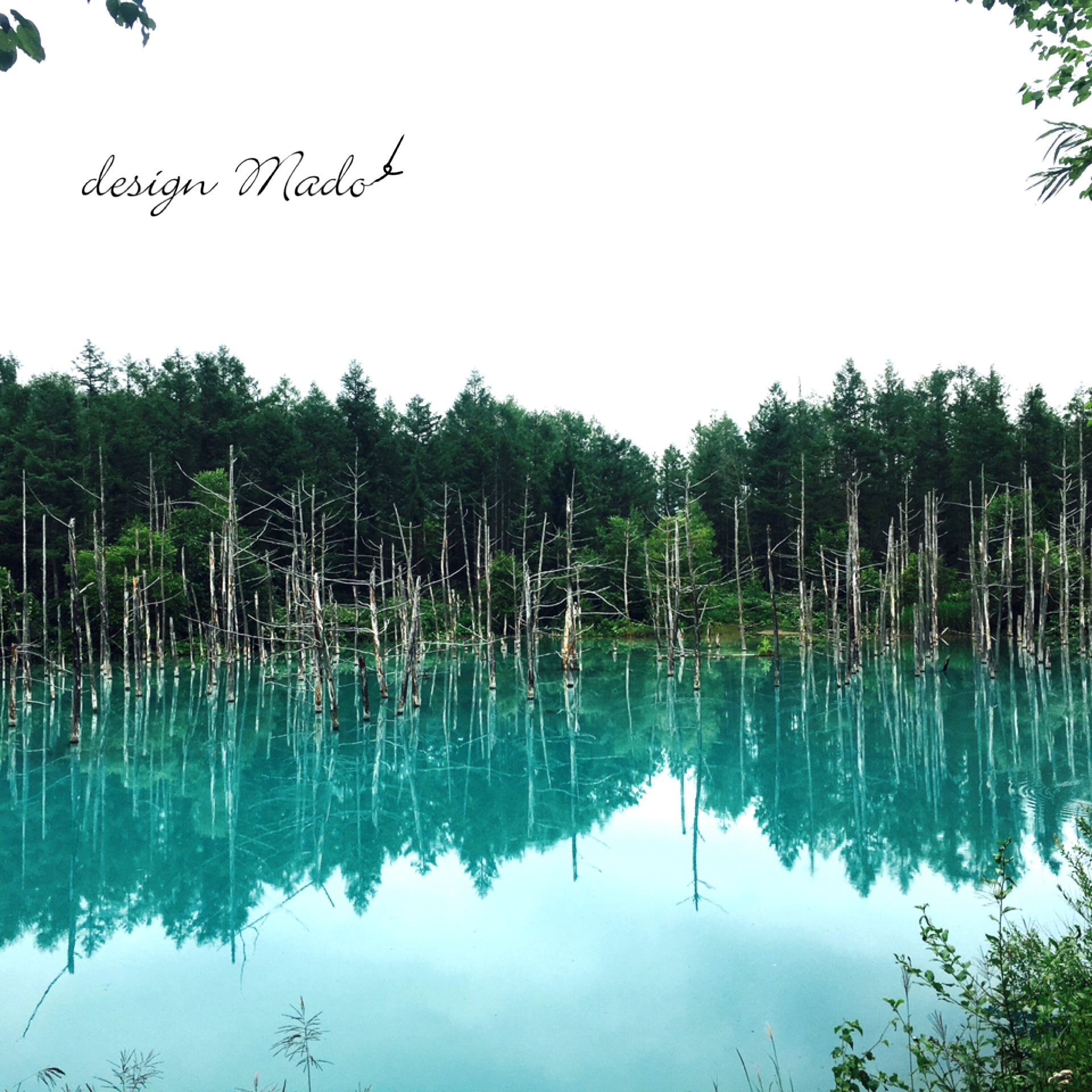 写真 2020-08-10 12 39 56.jpg